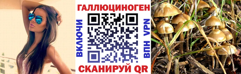 Галлюциногенные грибы Magic Shrooms  гидра как войти  Добрянка 